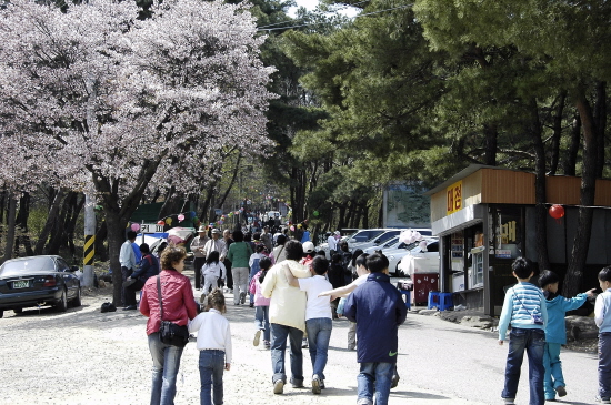 전등사로 향하는 상춘객 